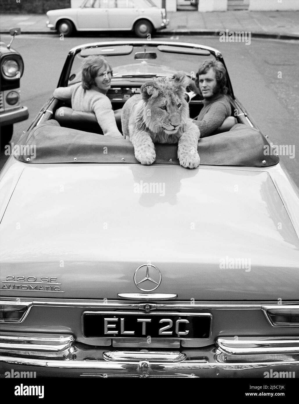 Owners Ace Bourke & John Rendall with Christian in their Mercedes car Kings Rd. Chelsea 1970 Stock Photo