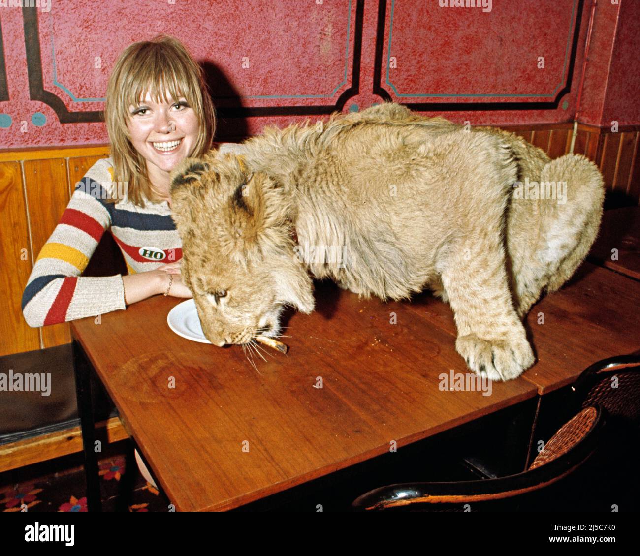 Christian with model Emma Breeze  at the Casserole restaurant on the the Kings Road Chelsea London 1970 Stock Photo