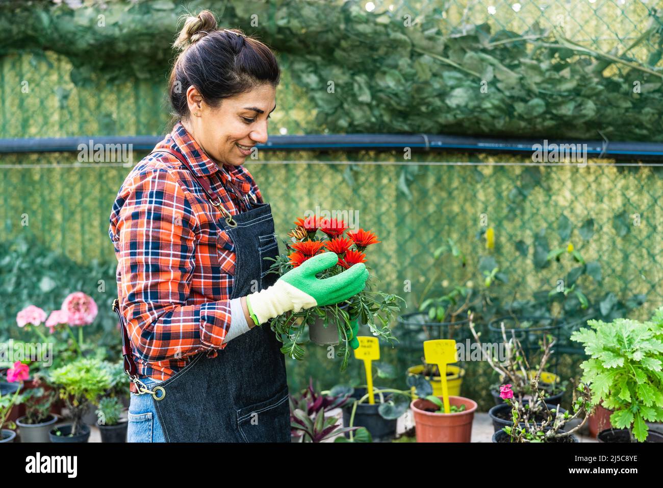 Happy woman working in plants and flowers garden shop Stock Photo
