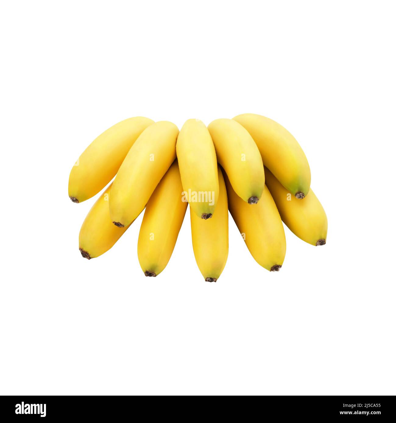 https://c8.alamy.com/comp/2J5CA55/single-banana-isolated-beautiful-edible-yellow-banana-bunch-of-bananas-2J5CA55.jpg
