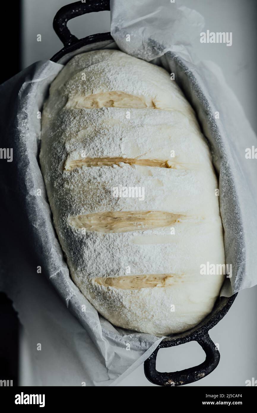 https://c8.alamy.com/comp/2J5CAF4/raw-bread-dough-in-the-mold-ready-for-baking-2J5CAF4.jpg