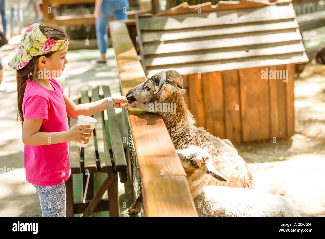 cute little kid feeding a goat at farm Stock Photo - Alamy