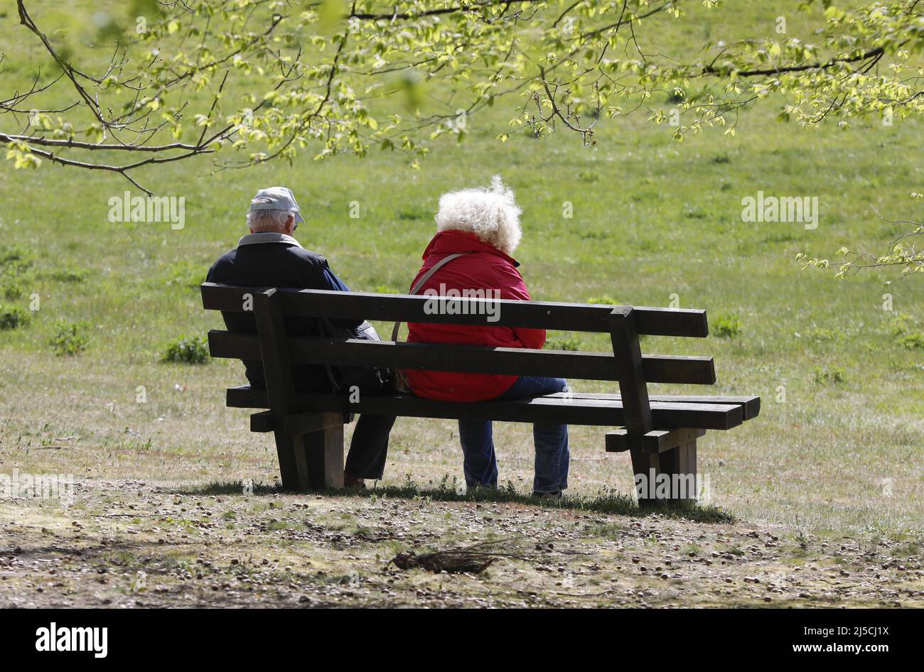 Pensioner on a bench in a park. [automated translation] Stock Photo