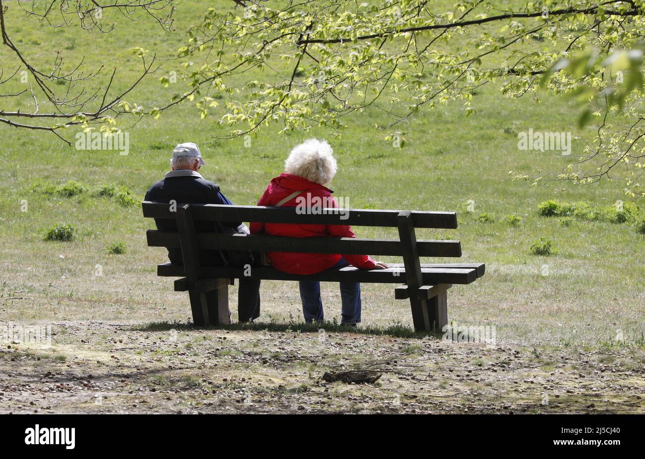 Pensioner on a bench in a park. [automated translation] Stock Photo
