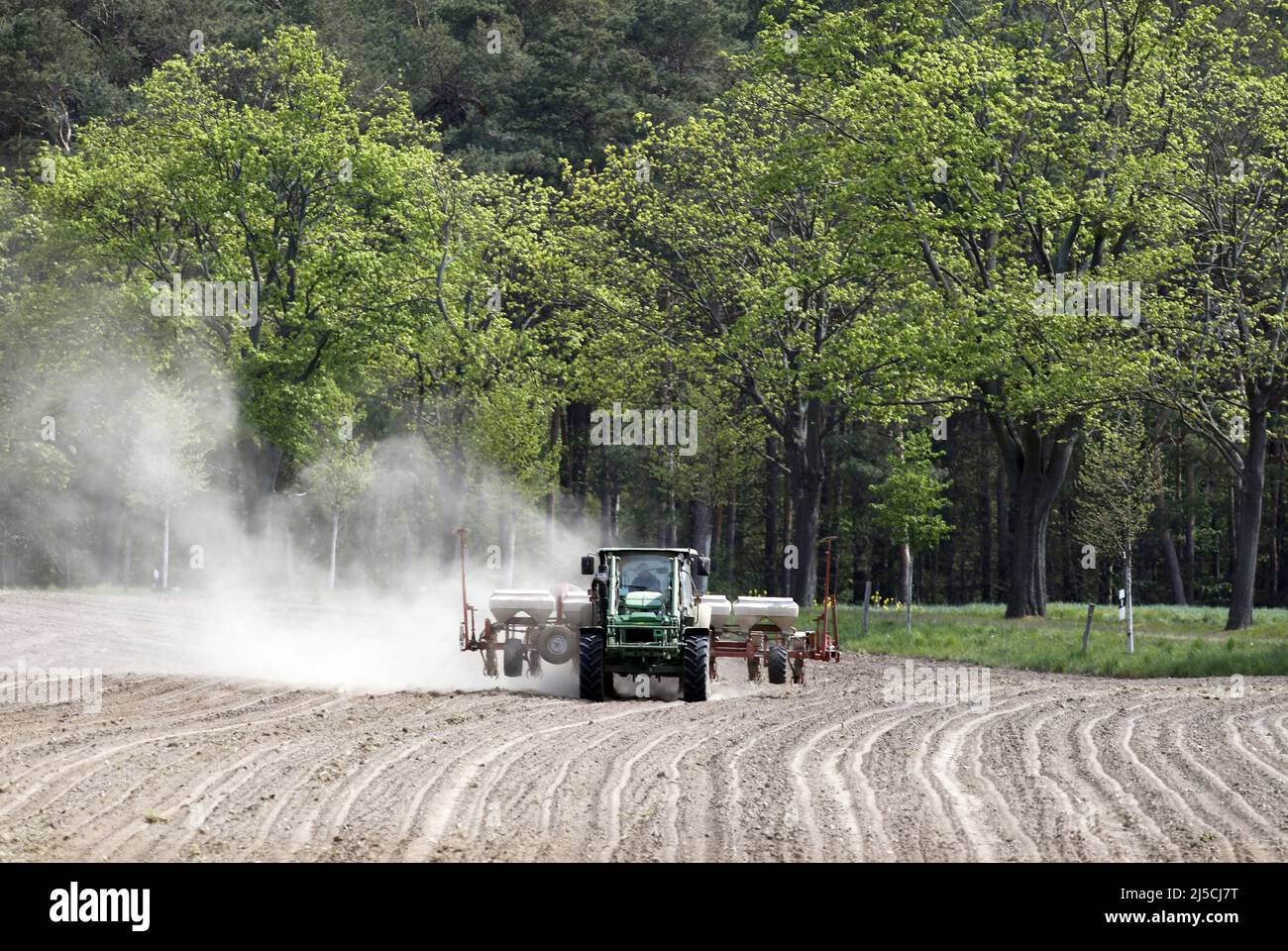 Due to the persistent drought, a tractor is dragging a large plume of dust behind it as it sows corn. [automated translation] Stock Photo