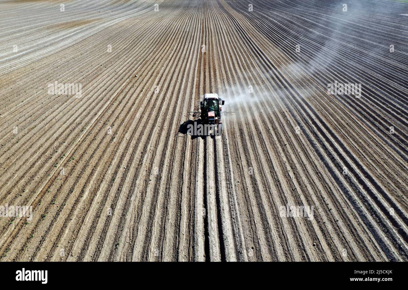 Muenchenberge, DEU, 20.05.2020 Due to the persistent drought, a tractor drags a plume of dust