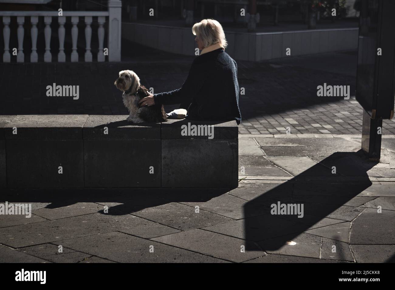 Lady and dog hi-res stock photography and images - Alamy