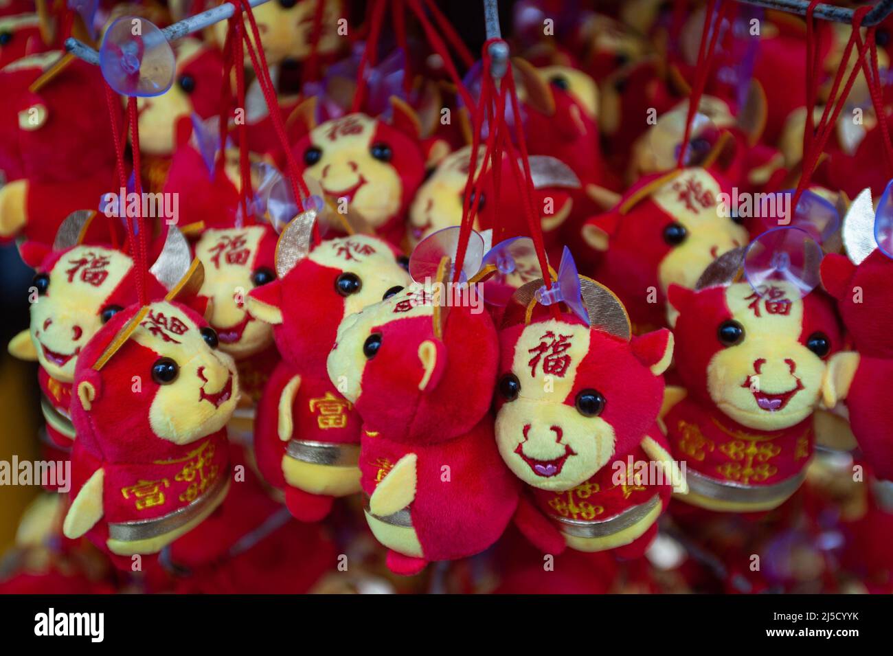Jan. 29, 2021, Singapore, Republic of Singapore, Asia - A shop in the city's Chinatown district is selling decorative plush animals, which are in the Chinese zodiac sign of the ox, for the upcoming Chinese New Year. Due to the ongoing Corona pandemic, official celebrations will be curtailed this year. [automated translation] Stock Photo