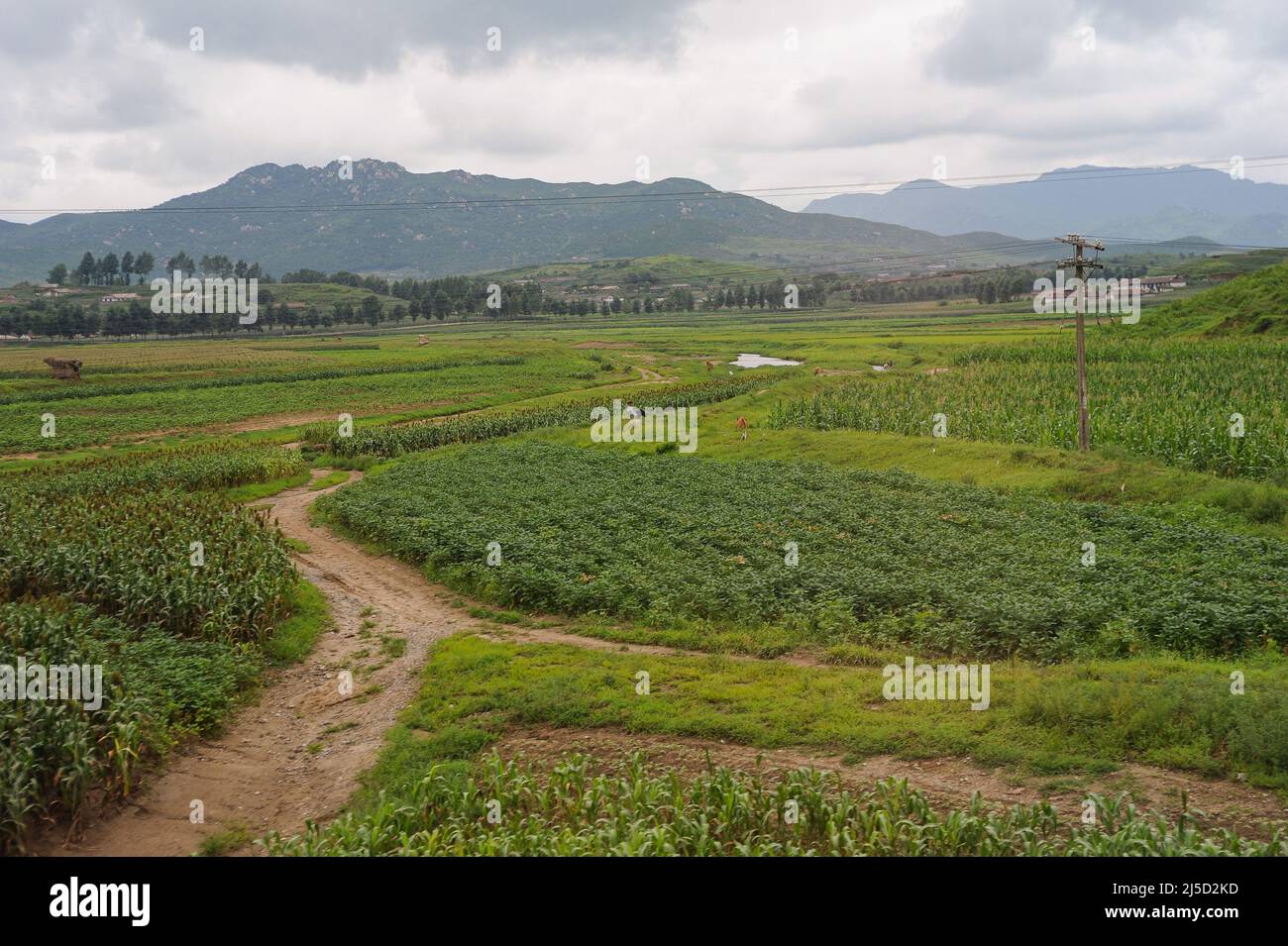 15.08.2012, North Korea, Asia - A rural scene in the province with  agricultural land during the