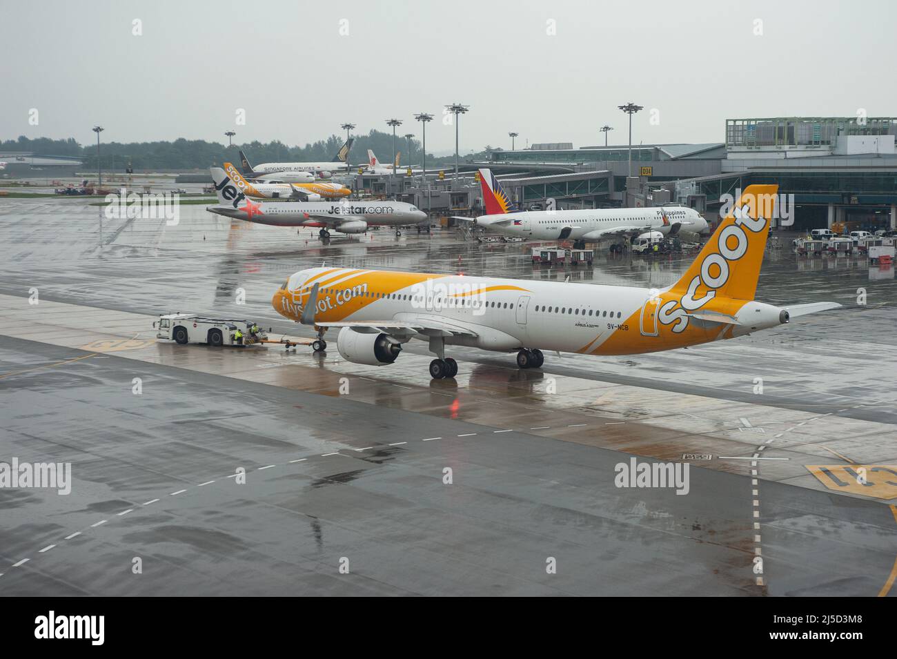 Nov. 15, 2021, Singapore, Republic of Singapore, Asia - A Scoot Airlines Airbus A321neo passenger aircraft with registration 9V-NCB during pushback at Changi International Airport with parked aircraft in the background. Scoot is a low-cost airline based in Singapore and a subsidiary of Singapore Airlines. [automated translation] Stock Photo