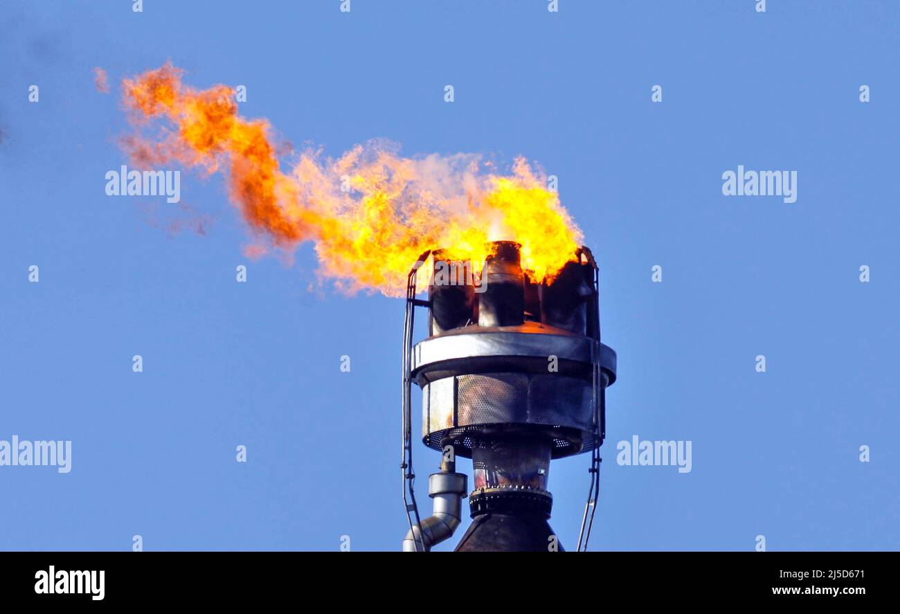 'Schwedt, March 7, 2022 - Excess gas from crude oil processing at PCK-Raffinerie GmbH in Schwedt is incinerated. The PCK refinery is supplied with crude oil from Russia via the ''Friendship'' pipeline. Due to the war in Ukraine, a ban on imports of Russian crude oil and gas is being considered. [automated translation]' Stock Photo