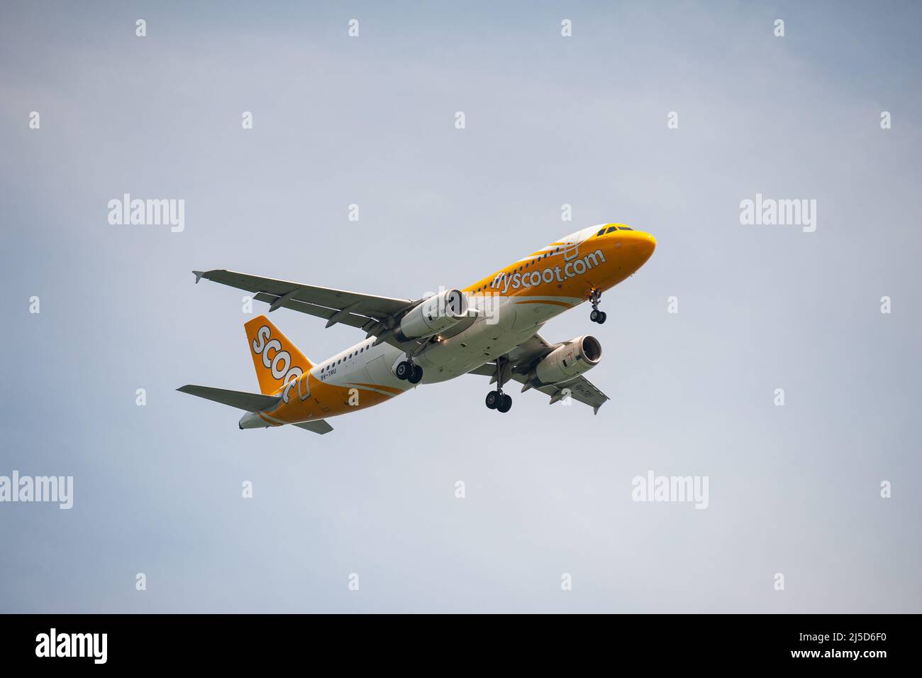 Nov. 29, 2021, Singapore, Republic of Singapore, Asia - A Scoot Airlines Airbus A320 passenger aircraft with registration 9V-TRU on approach to Changi International Airport. Scoot is a low-cost airline from Singapore and a subsidiary of Singapore Airlines. [automated translation] Stock Photo