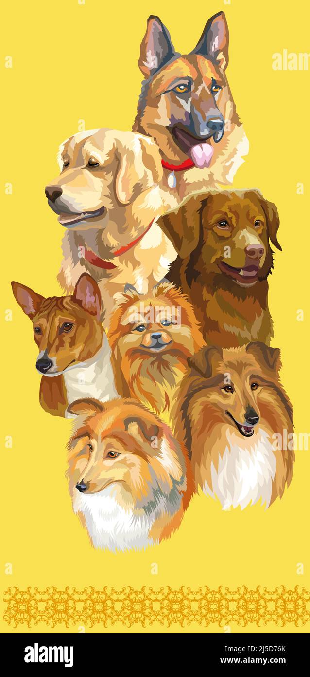 Set of colorful realistic vector portraits of different dogs breeds. Vector isolated illustration. Vertical poster on yellow background. For print, de Stock Vector
