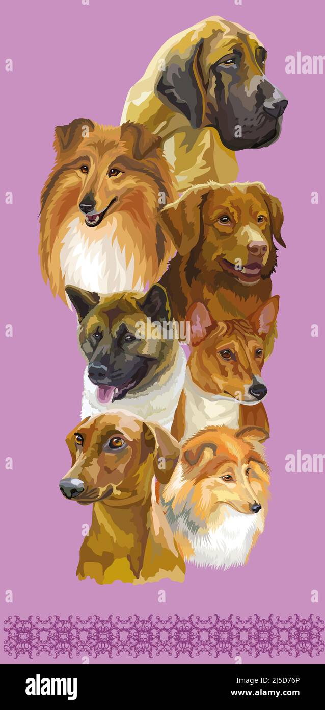 Set of colorful realistic vector portraits of different dogs breeds ...