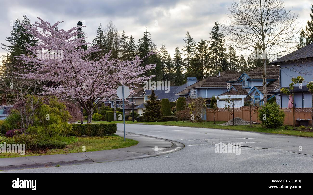 Fraser Heights, Surrey, Greater Vancouver, BC, Canada Stock Photo Alamy