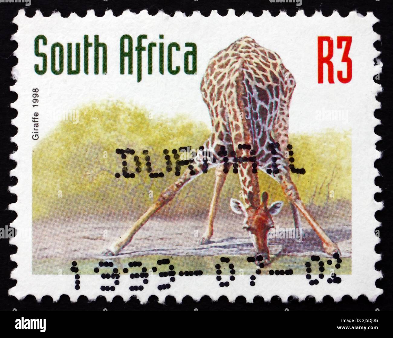 South Africa Circa 1998 A Stamp Printed In South Africa Shows