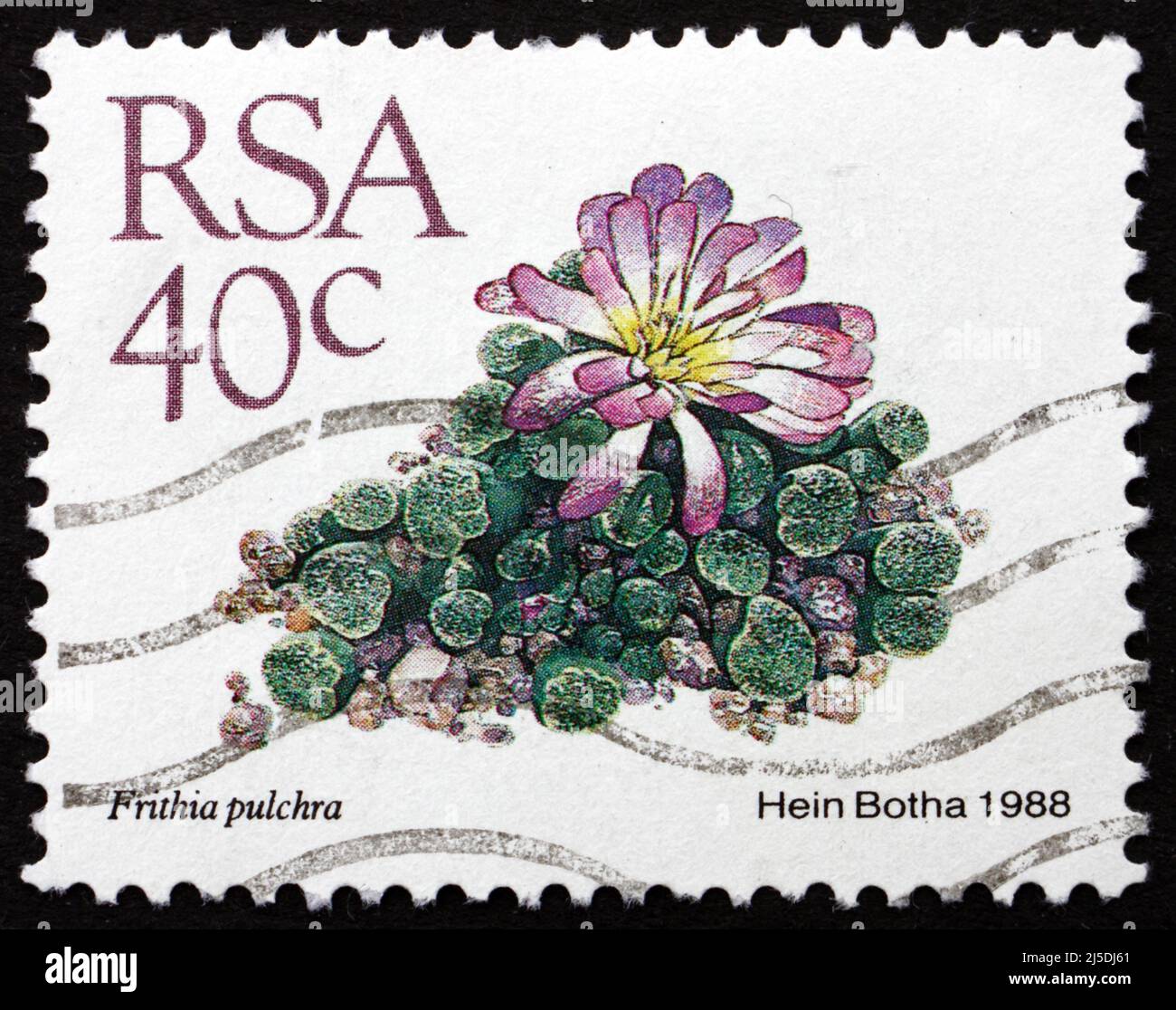 SOUTH AFRICA - CIRCA 1988: a stamp printed in South Africa shows Window Plants, Frithia Pulchra, Dwarf Succulent Plant, circa 1988 Stock Photo