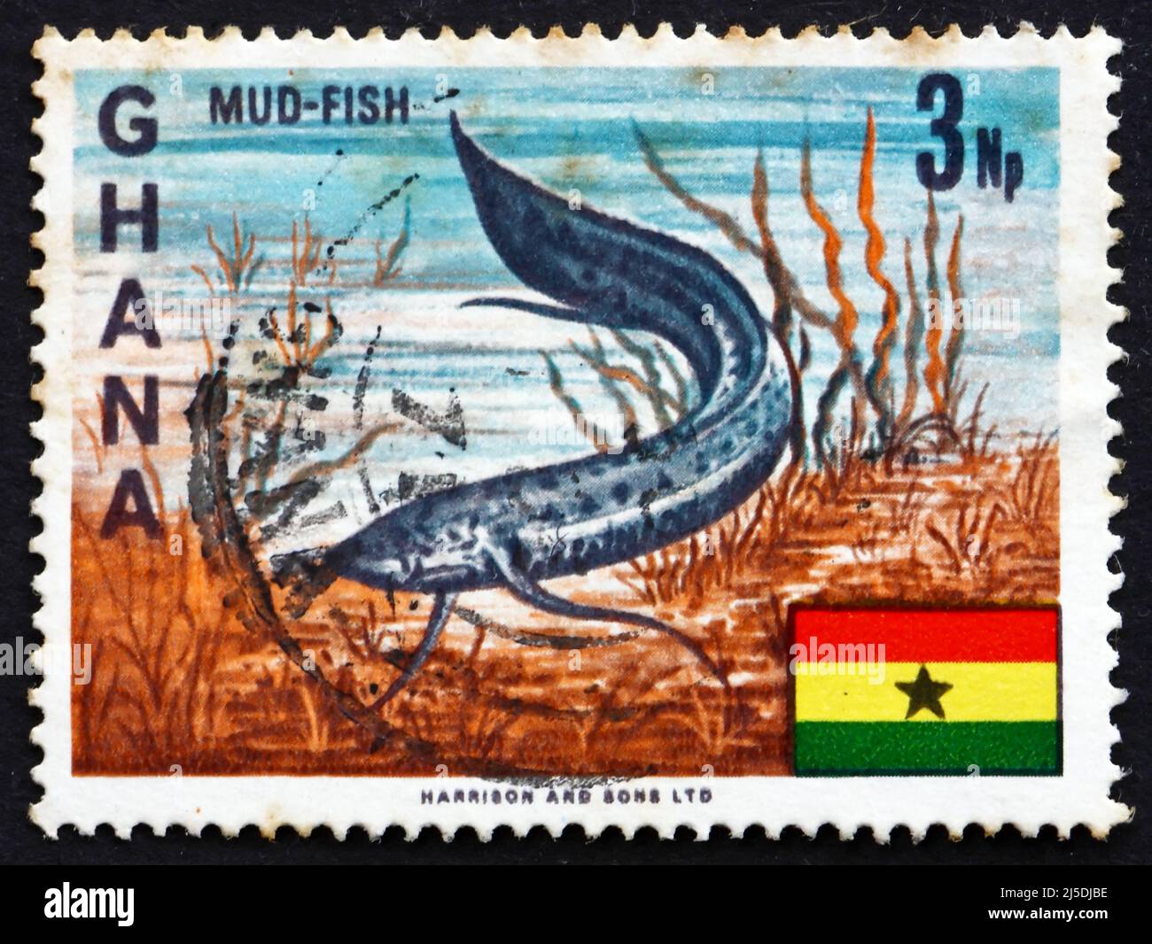 GHANA - CIRCA 1967: a stamp printed in Ghana shows West African Lungfish, Protopterus Annectens, Freshwater Fish, circa 1967 Stock Photo