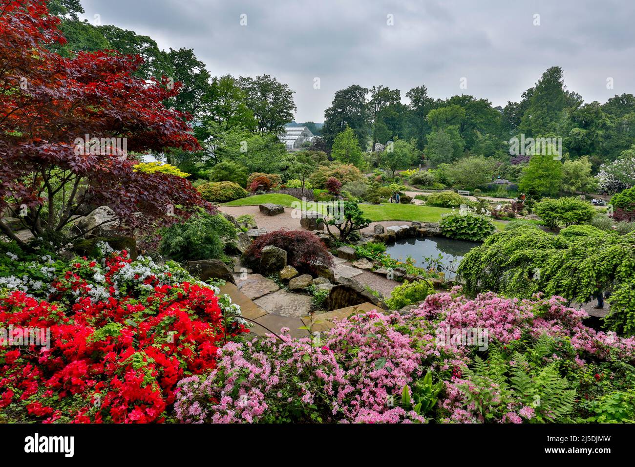 Wisley Gardens; Spring; UK Stock Photo - Alamy