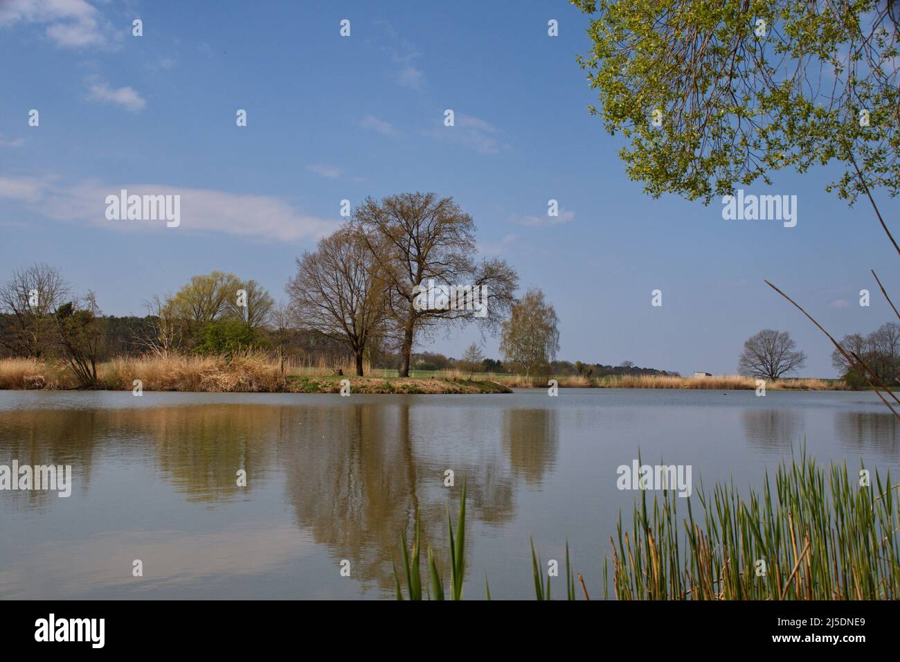 Photography of landscape in spring time Stock Photo