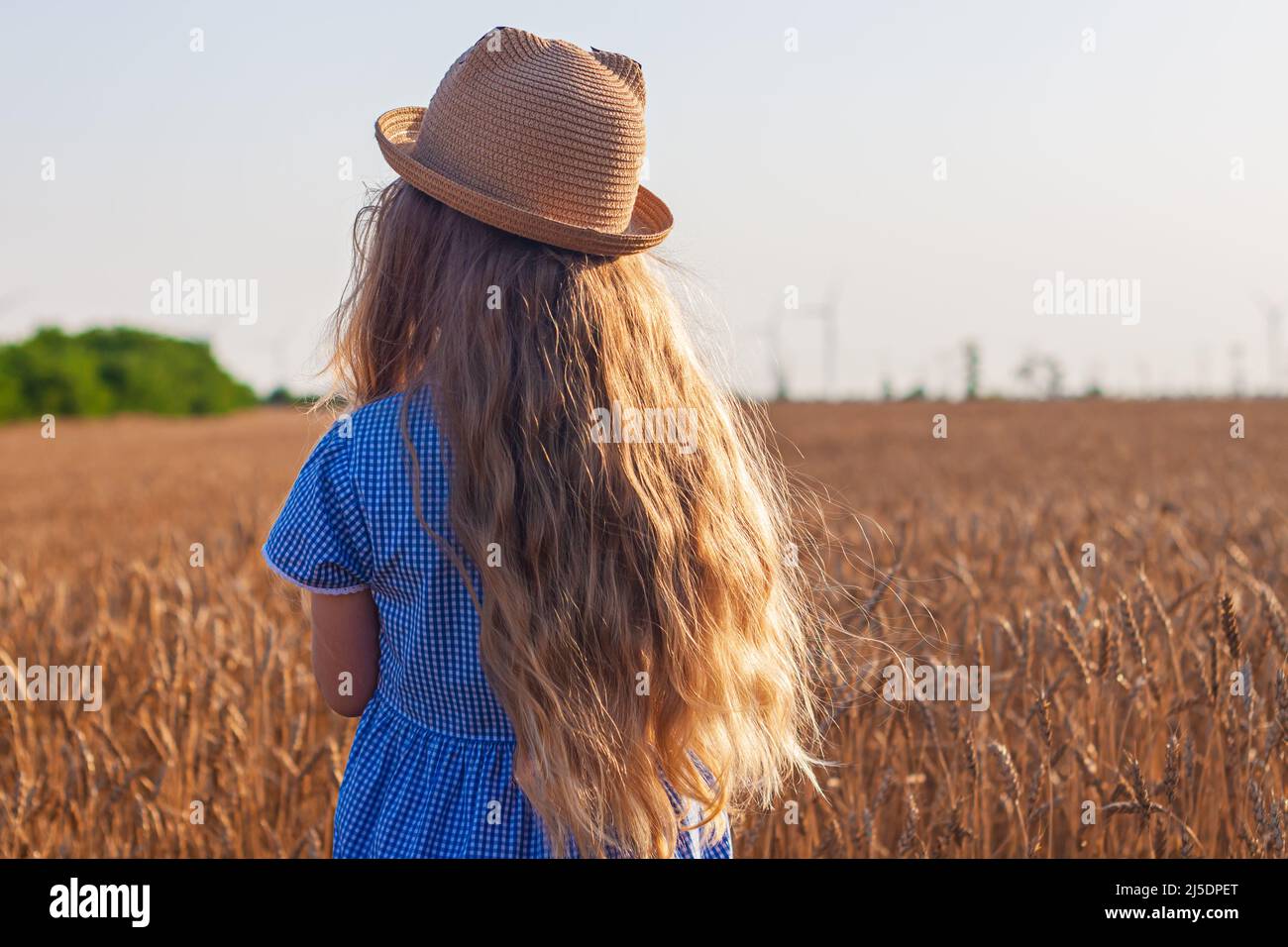 Adorable little girl in a straw hat and blue plaid summer dress in ...