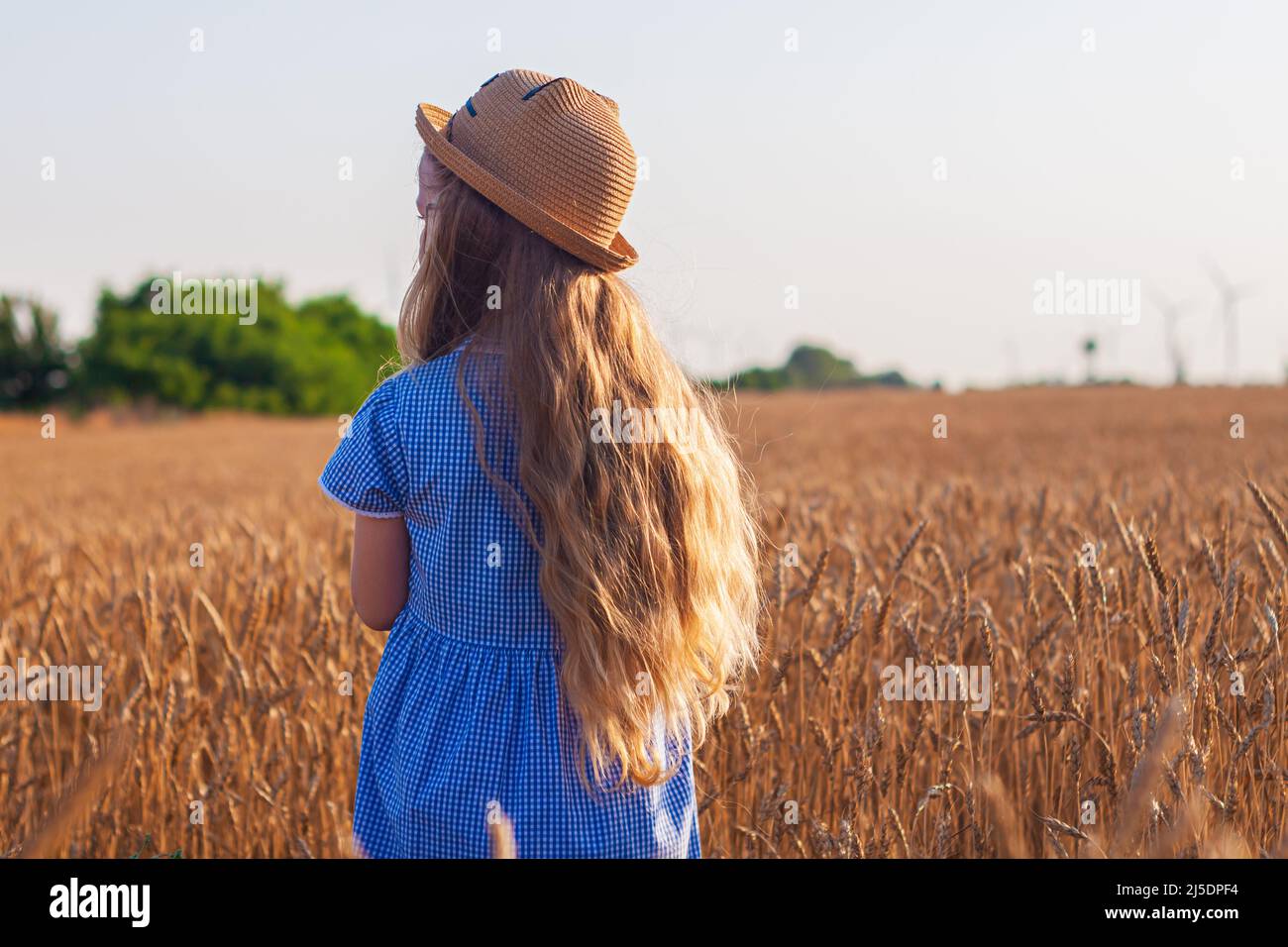 Adorable little girl in a straw hat and blue plaid summer dress in ...