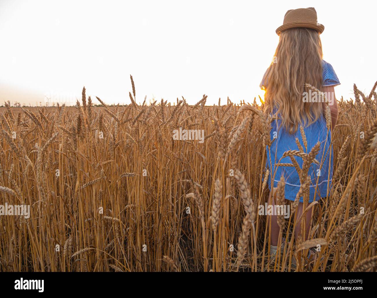 Adorable little girl in a straw hat and blue plaid summer dress in ...