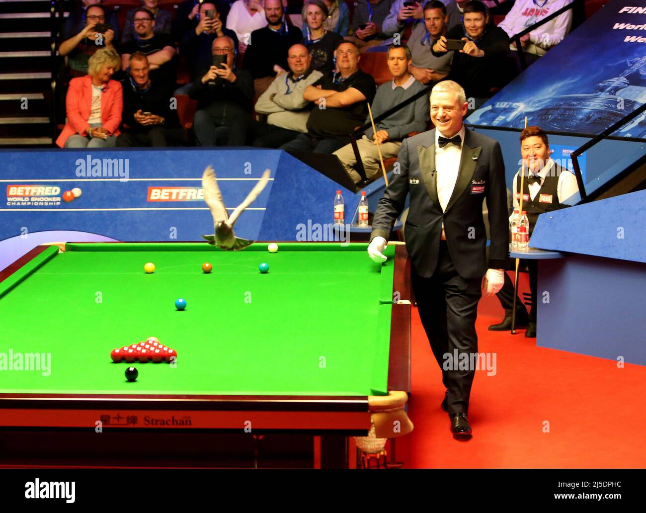 betfred snooker live
