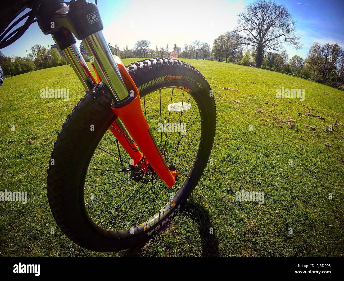 horizon exercise bike