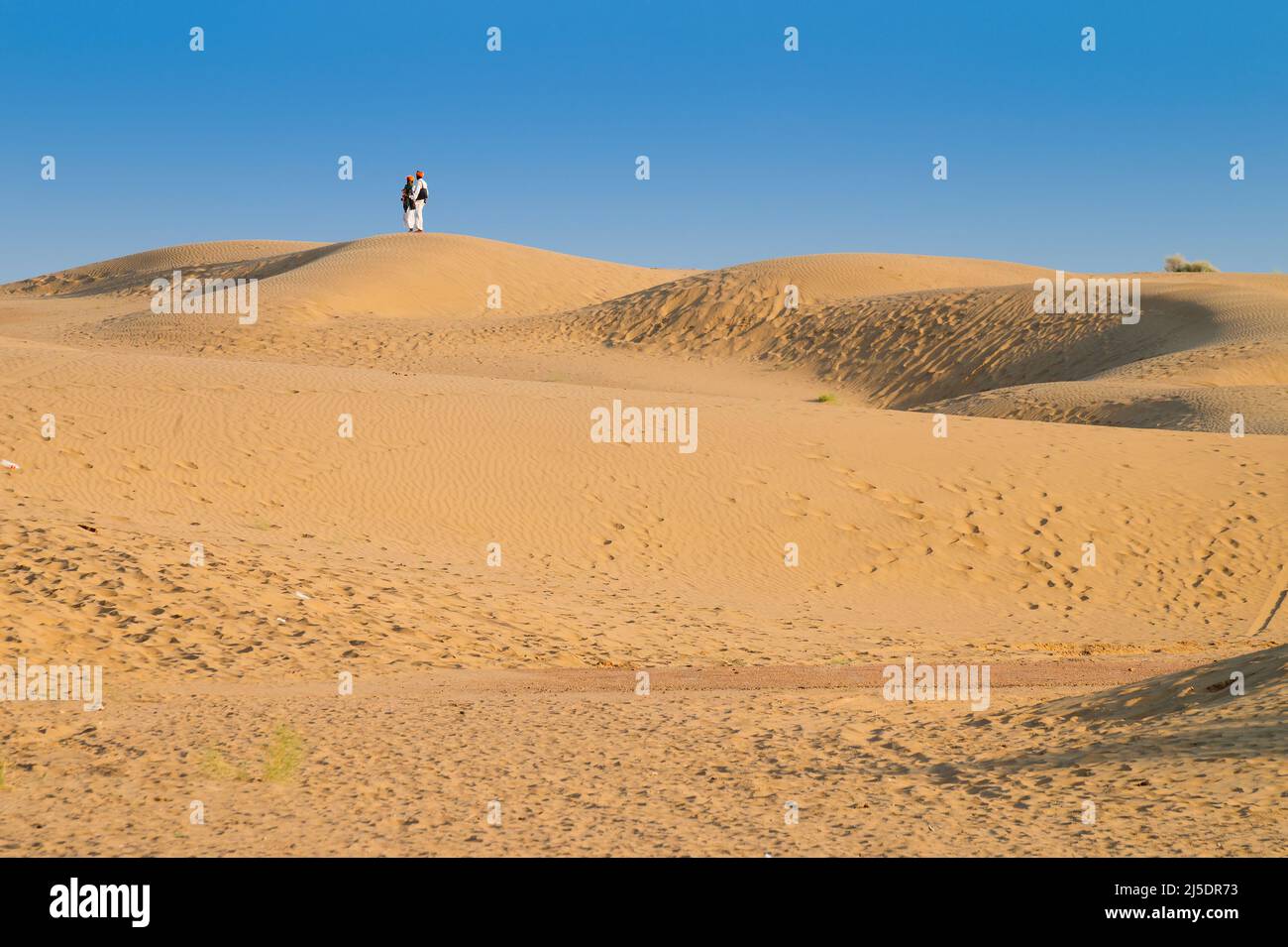 Thar desert. Barren land , sand dunes of Jaisalmer, Rajasthan, India