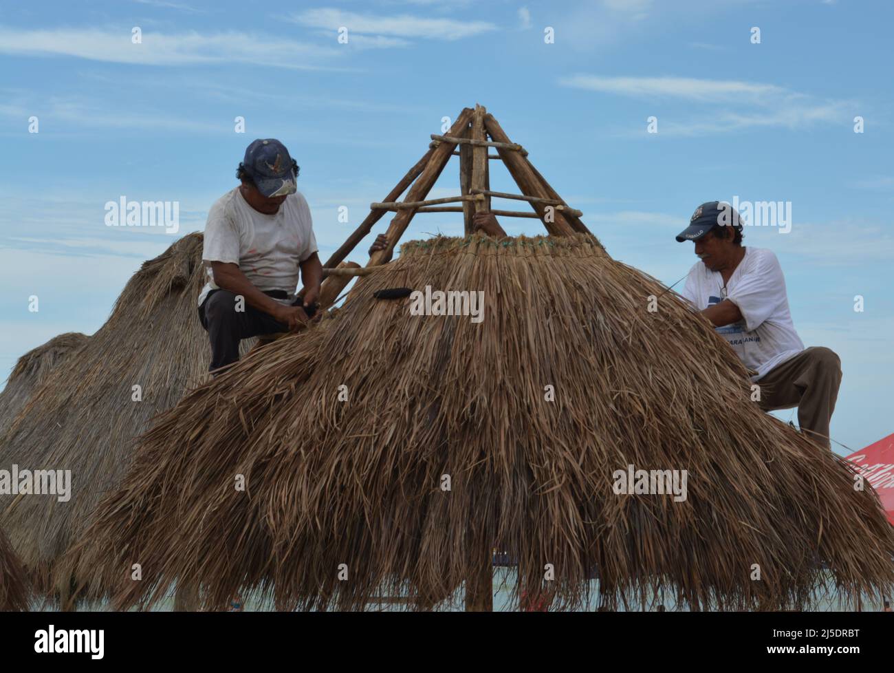 Men weaving a palm roof in Yucatan Stock Photo