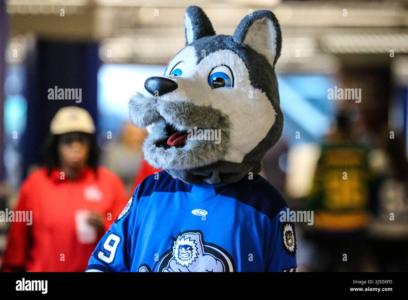 2022-23 Jacksonville Icemen (ECHL) Fang (mascot)