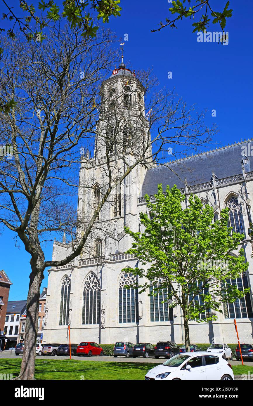 Lier (Sint Gummaruskerk), Belgium - April 9. 2022: View on brabant gothic style roman catholic church from 15th century against blue sky Stock Photo