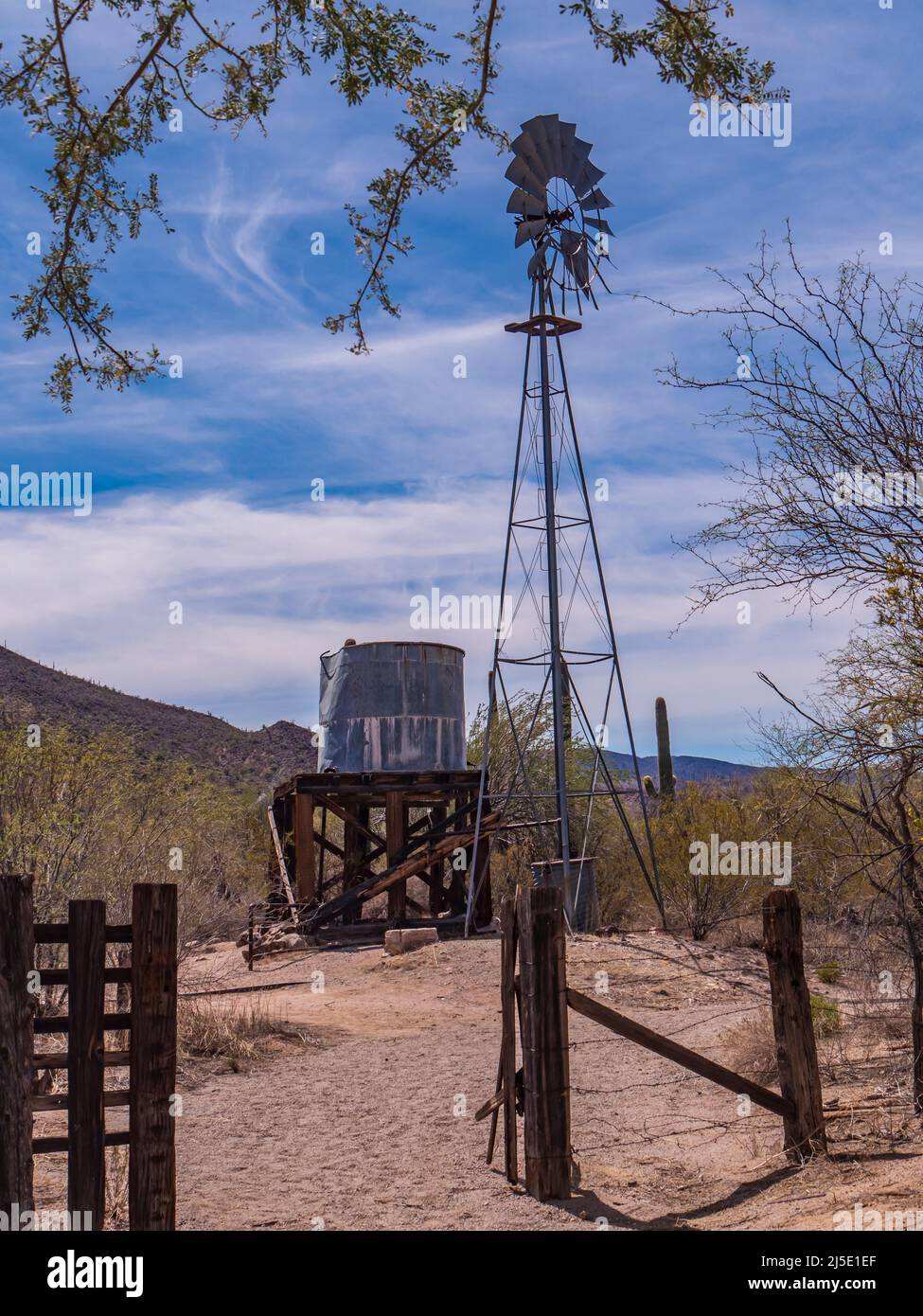 Bates Well Ranch, south windmill, Bates Well Road, Organ Pipe Cactus National Monument, Arizona. Stock Photo