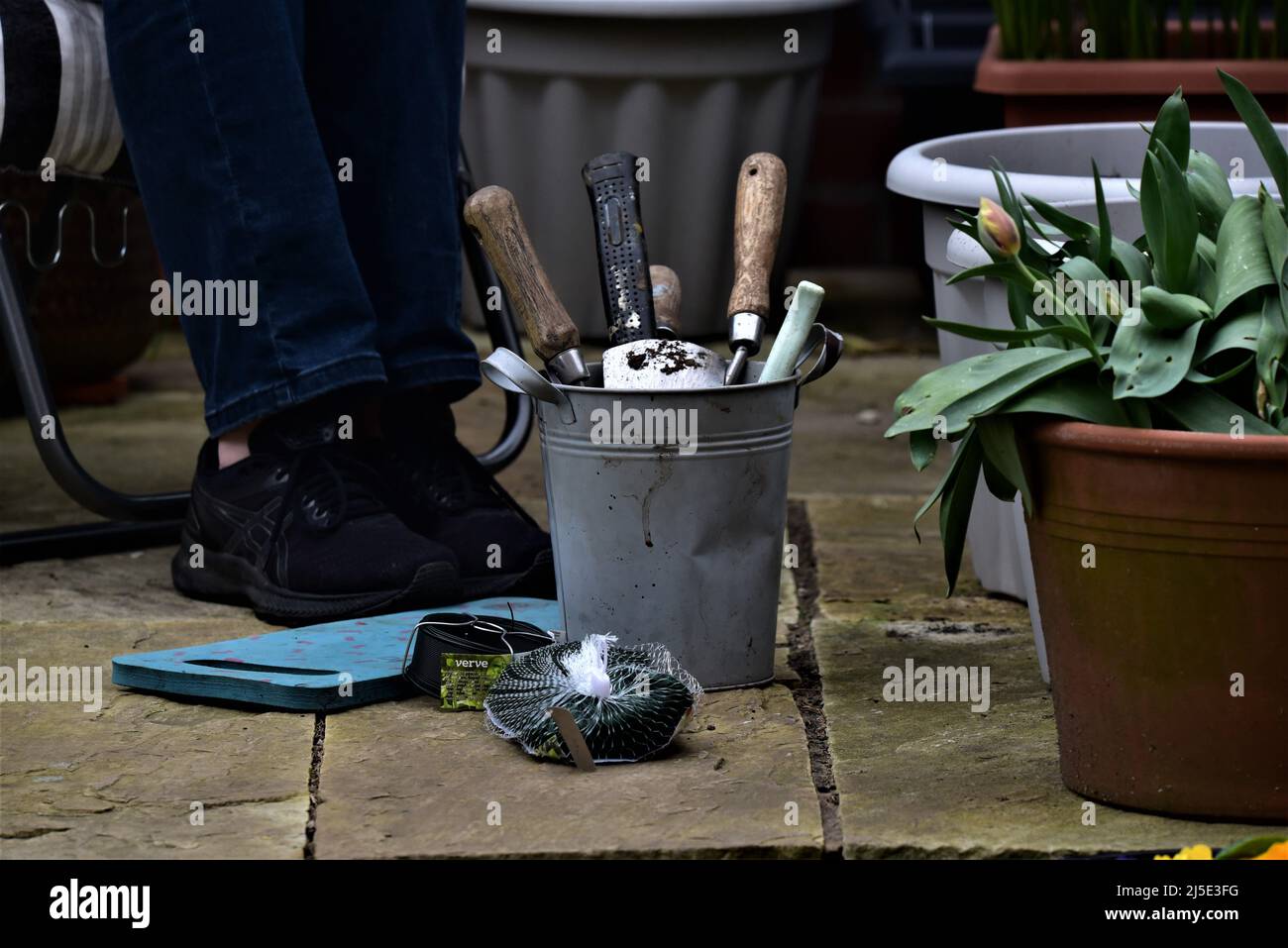 Generic garden pictures showing a trowel and fork, Springtime or early  Summer garden soil preparation or seed sowing Stock Photo