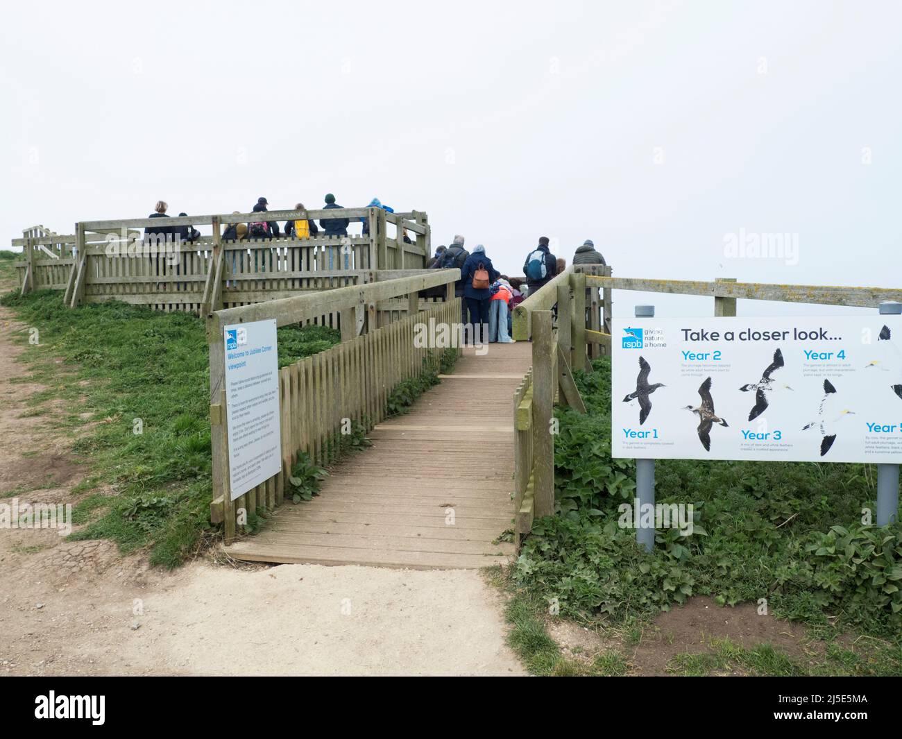 Visitors, tourists, bird-watchers at Bempton cliffs Yorkshire. UK Stock Photo