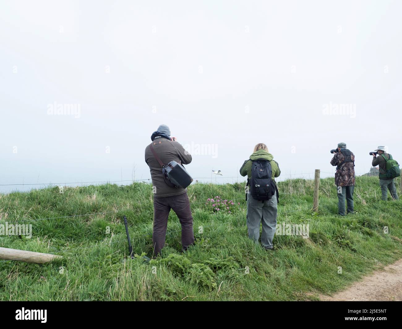Visitors, tourists, birdwatchers at Bempton cliffs Yorkshire. UK Stock