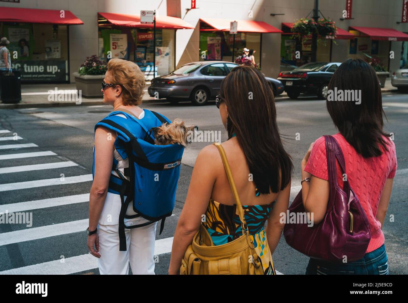 Chicago, Illinois, United States - July 25 2009: Woman Carrying a Dog in a Dog-Gone Device Pet Carrier Backpack or Raucksack. Stock Photo