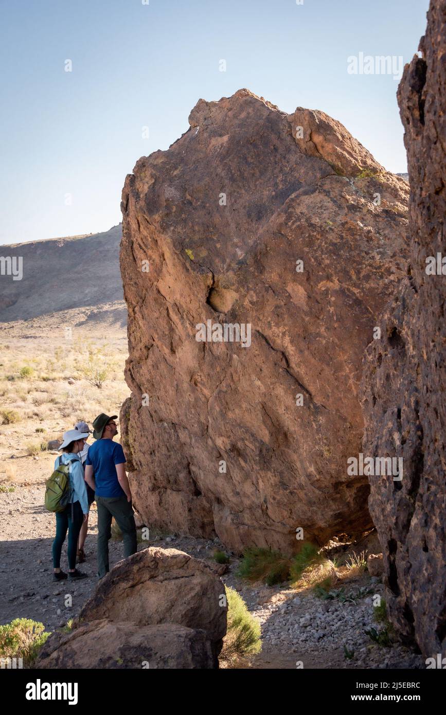 Dad and kids look closely at petroglyphs on large boulder in Mojave National Preserve near the Rings Loop trail at Hole in the Wall. Stock Photo