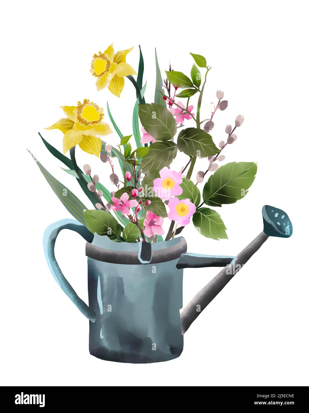 Watering can with wild flowers bouquet isolated on white. Flower bunch ...