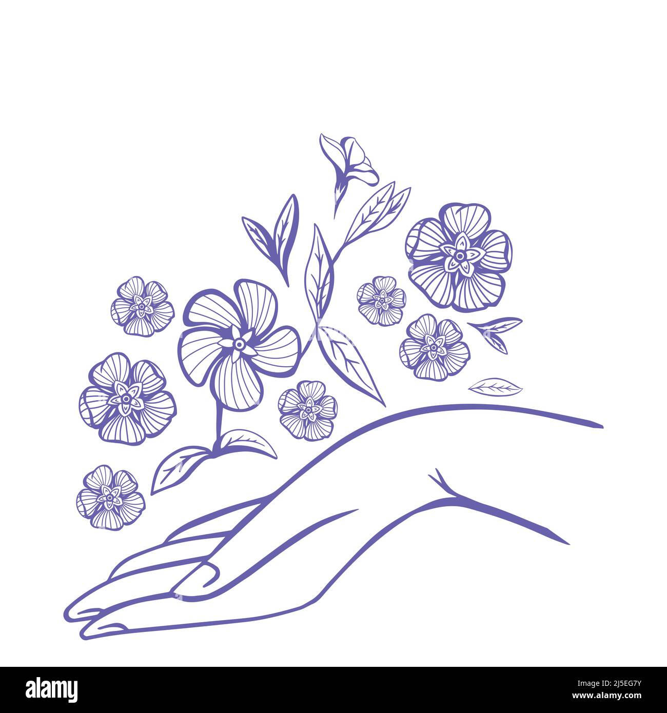 Periwinkle flowers over Women's Arm. Good for Feminine and Eco Friendly Products illustration Stock Vector