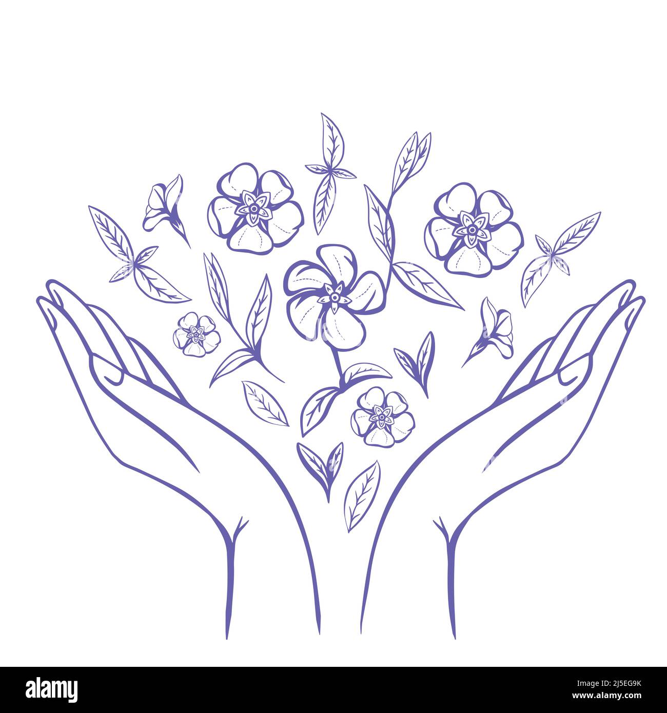 Periwinkle flower in a middle of Raised Women's Arms. Good for Feminine and Eco Friendly Products illustration Stock Vector