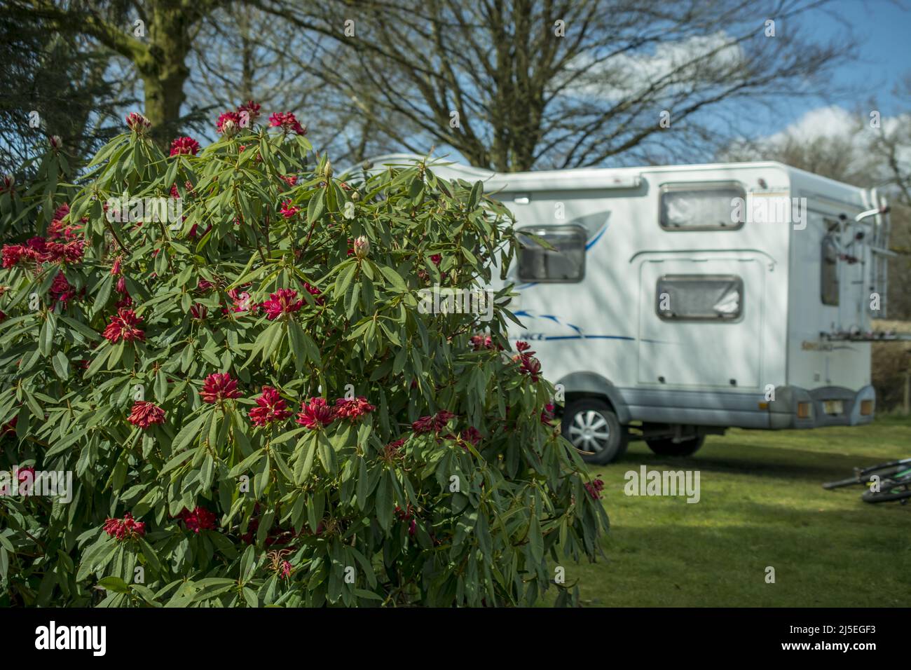 photo of motorhome on camp site Stock Photo Alamy