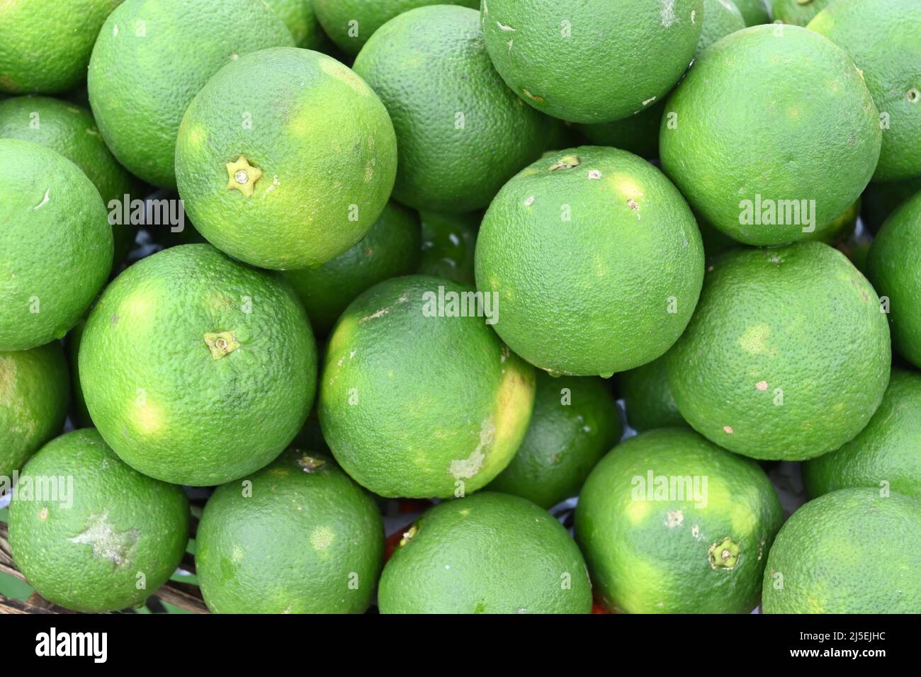 Overhead view of pile of Sweet Orange fruits (Citrus sinensis) Stock Photo