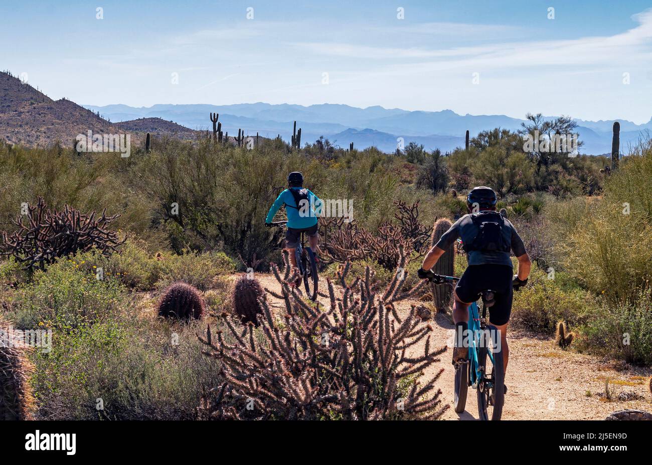 Two Mountain Bikers On Desert Trail In Scottsdale, AZ Stock Photo