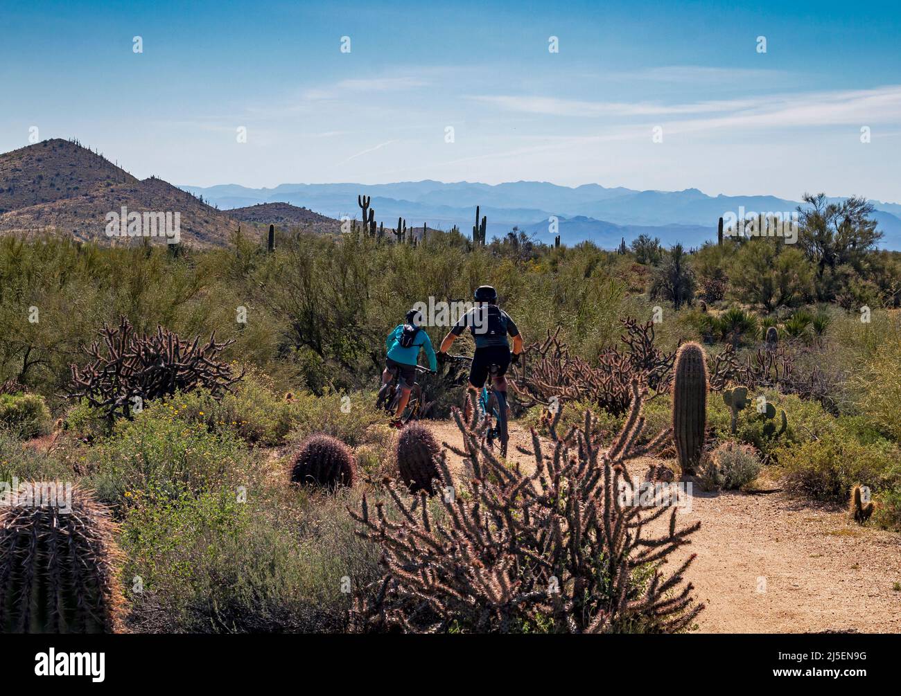 Mountain Bikers On Desert Trail In Scottsdale, AZ Stock Photo