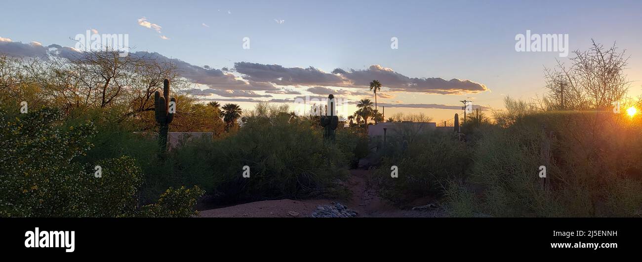 Sonoran desert sunset panorama hi-res stock photography and images - Alamy