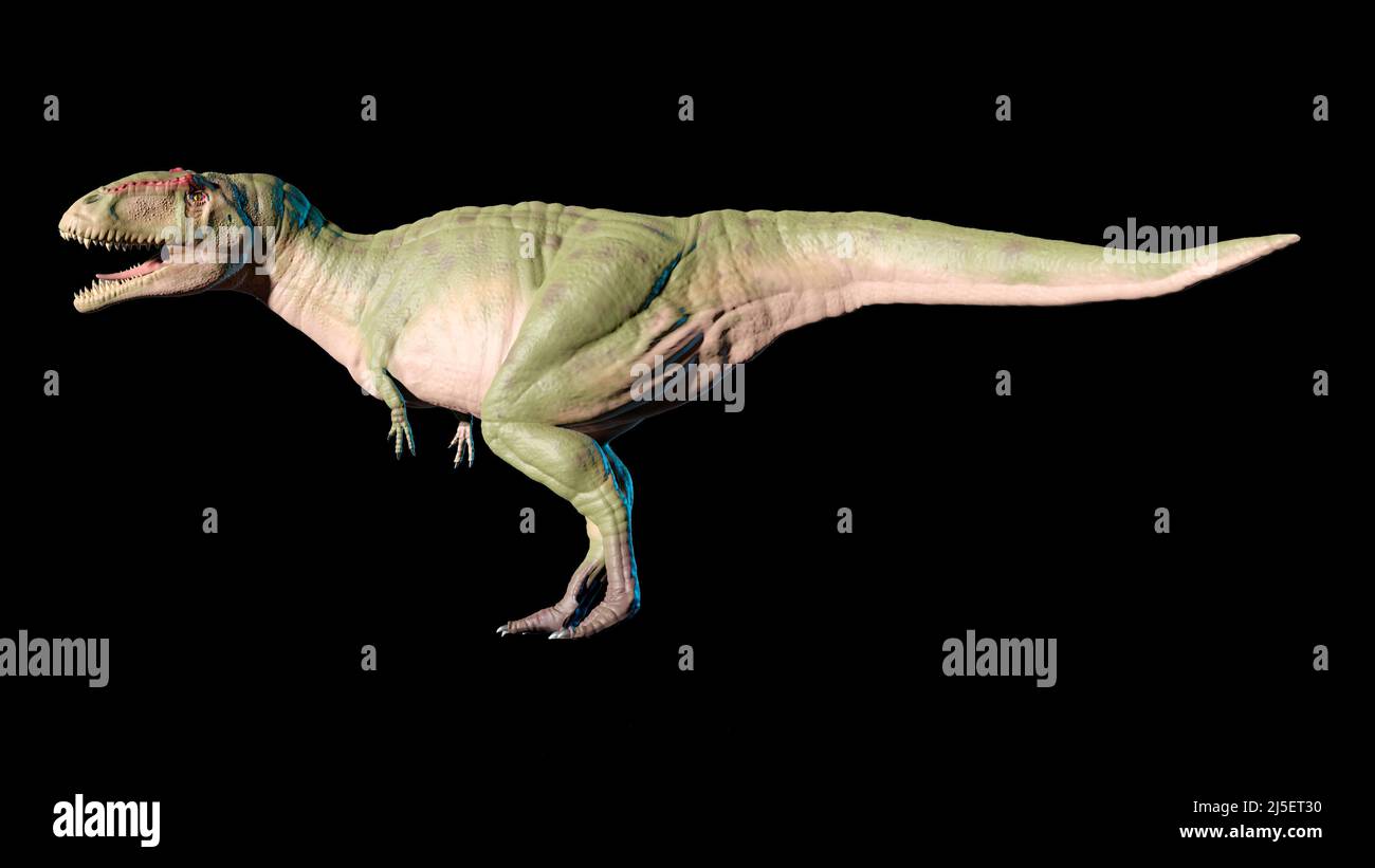Artwork of Giganotosaurus Stock Photo