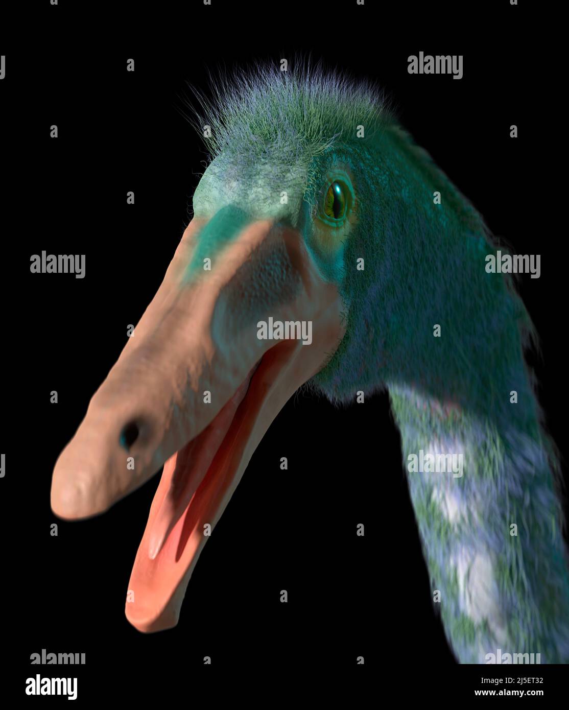 Artwork of dinosaur Gallimimus Stock Photo