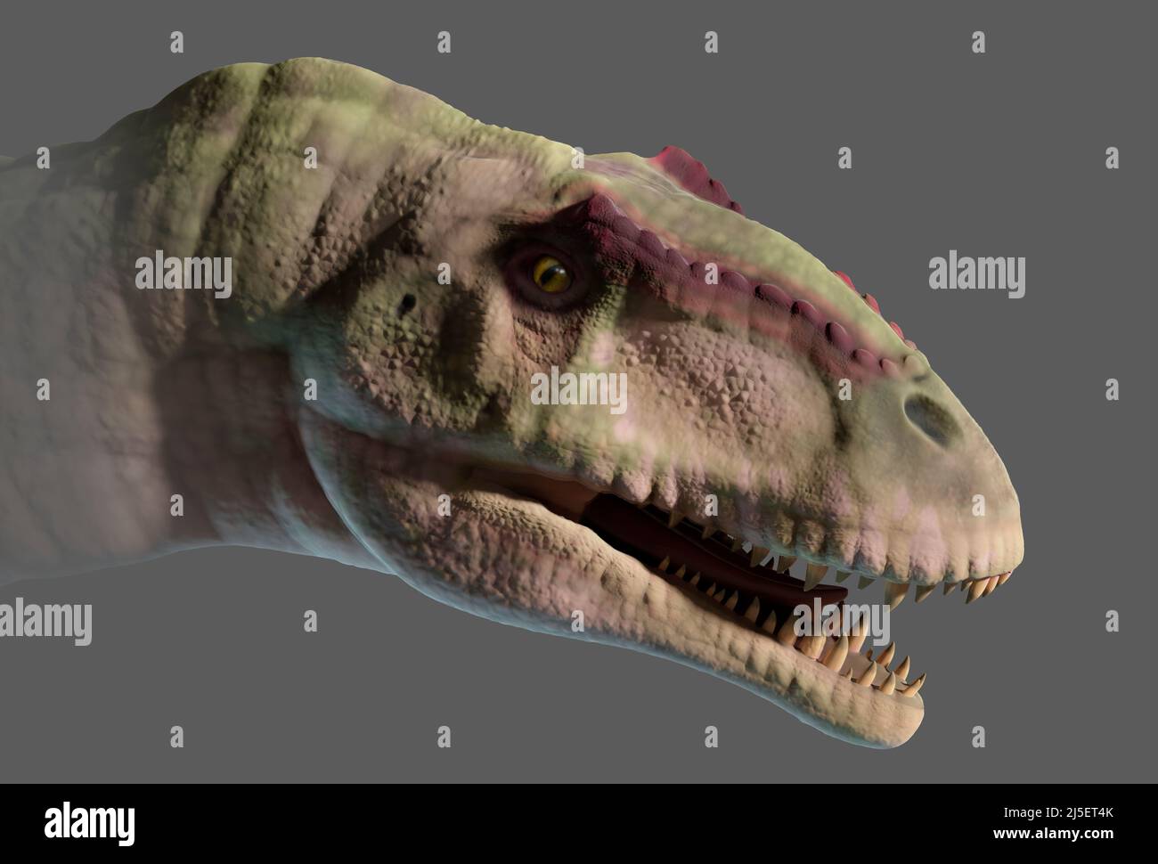 Artwork of Giganotosaurus Stock Photo